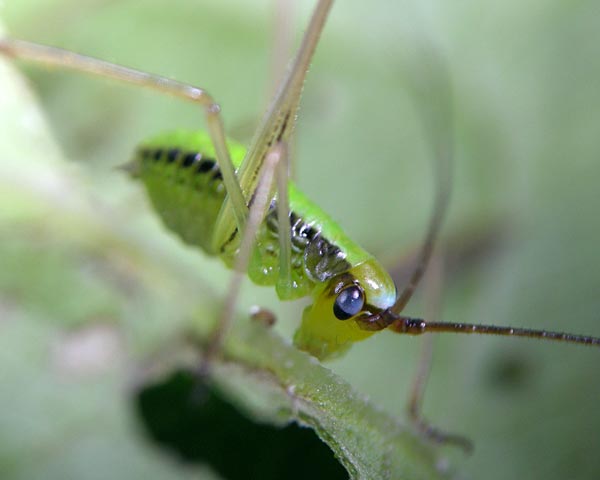 e0035757_23222771.jpg