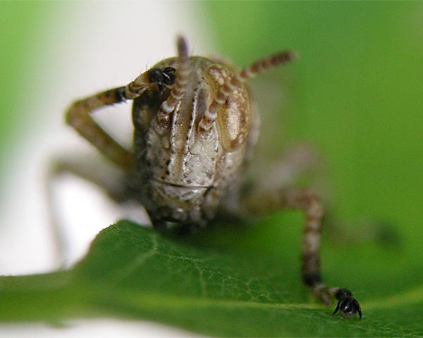 e0035757_23241327.jpg