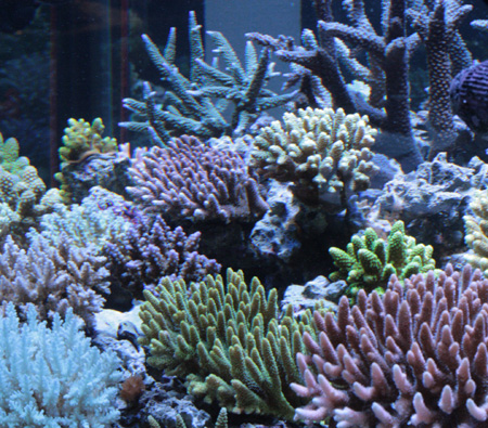 a0162261_22058.jpg