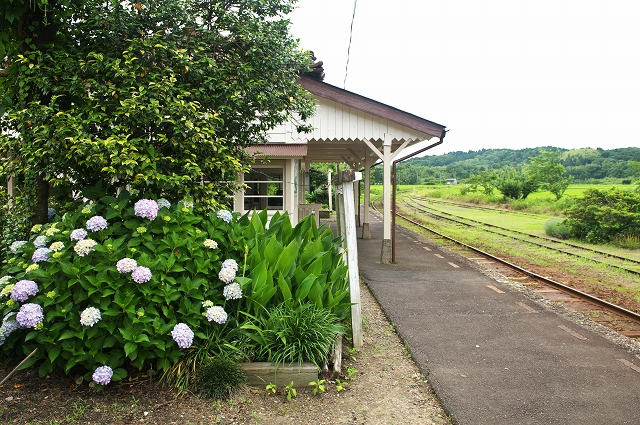 案山子_f0018464_19304594.jpg