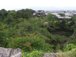 a0168068_20294494.jpg
