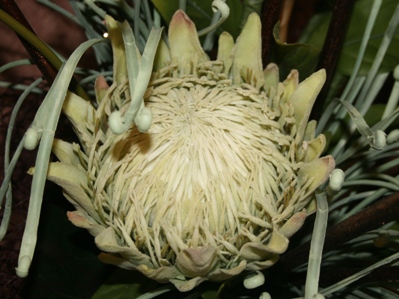 f0088569_92568.jpg