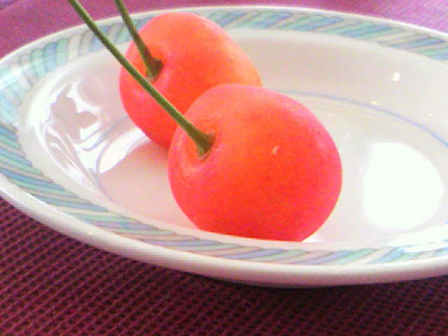 c0181476_1853850.jpg
