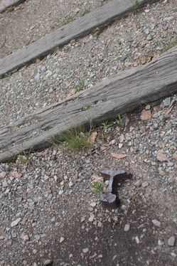e0024081_8241930.jpg