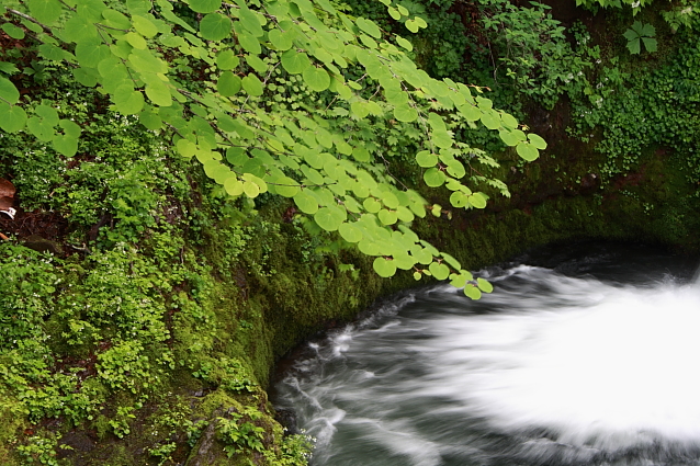 e0165983_14315081.jpg