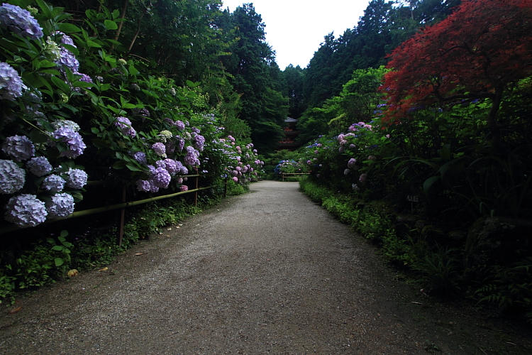 岩船寺_e0051888_21541127.jpg