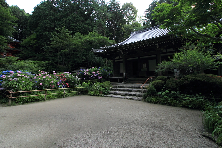 岩船寺_e0051888_21543827.jpg