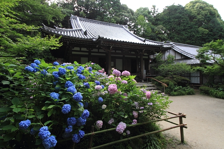 岩船寺_e0051888_21564131.jpg