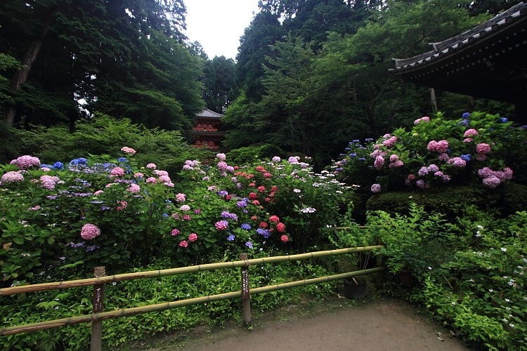 岩船寺_e0051888_21571877.jpg
