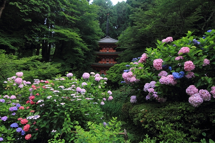 岩船寺_e0051888_21573465.jpg