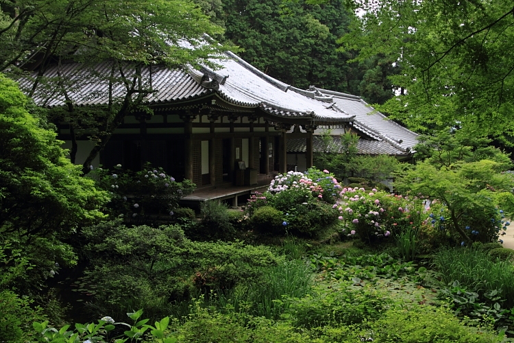 岩船寺_e0051888_2158215.jpg