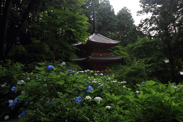 岩船寺_e0051888_21592524.jpg