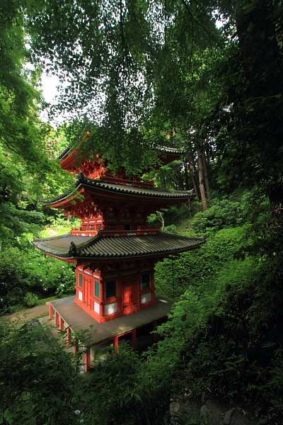 岩船寺_e0051888_21594381.jpg