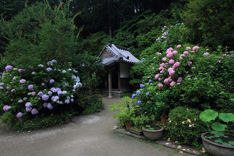 岩船寺_e0051888_2201736.jpg