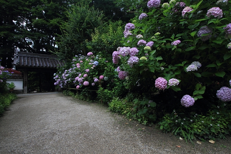 岩船寺_e0051888_2203951.jpg