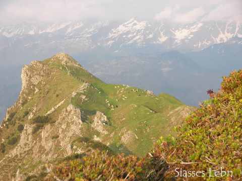 e0088895_20292524.jpg