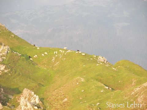 e0088895_2030846.jpg