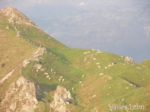 e0088895_20315249.jpg