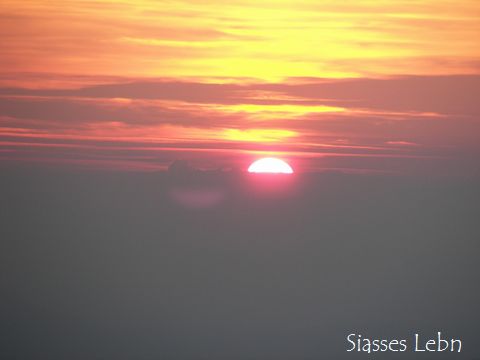 e0088895_20523812.jpg