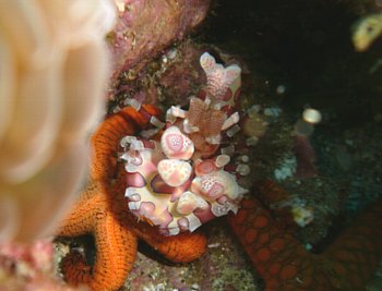 f0079996_13162554.jpg