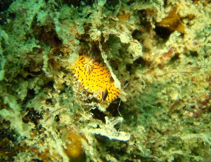 e0115199_1441035.jpg