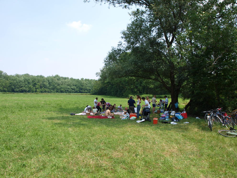 週末はPicnic_d0102900_4495383.jpg