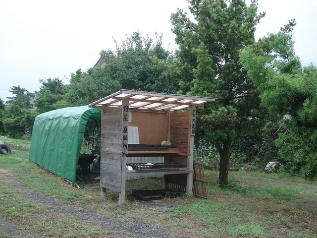 f0084806_123734.jpg