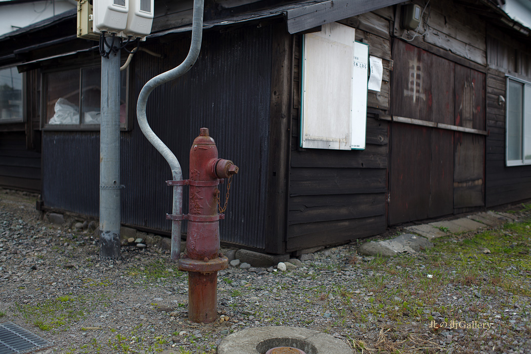c0073613_014174.jpg