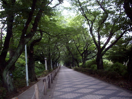 a0091314_0575937.jpg