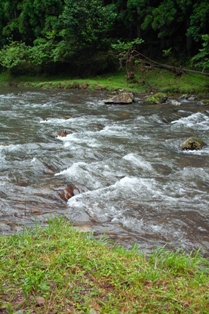 今日も雷雨ある・・・　　　　朽木小川・気象台より_c0044819_72429.jpg