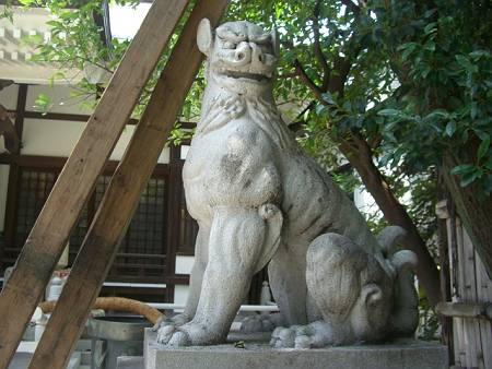 鳥越神社の狛犬_d0065324_2221254.jpg