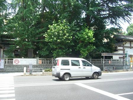 鳥越神社の狛犬_d0065324_2274066.jpg