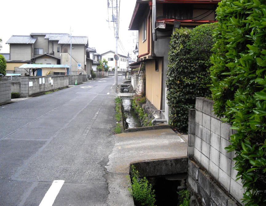 d0179225_1221632.jpg