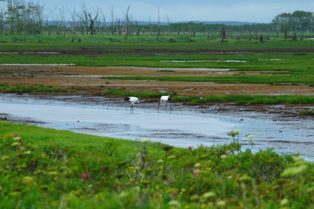 野生動物部門賞_f0053130_22182553.jpg