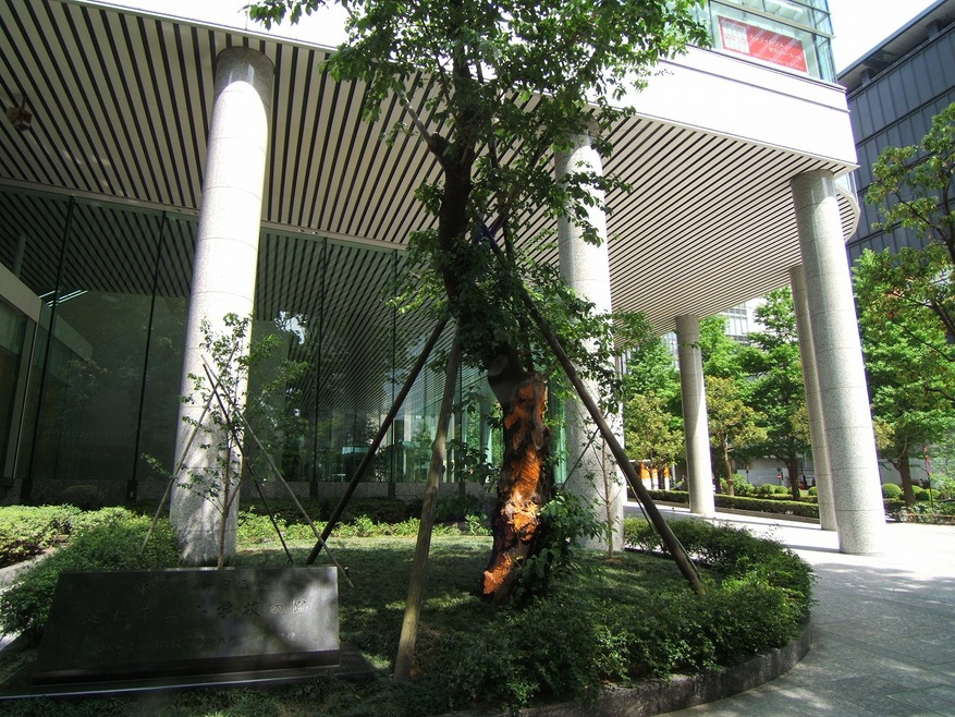 f0174939_19443494.jpg