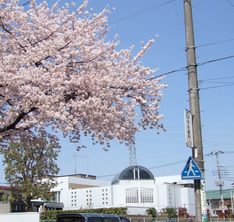 b0017844_0314929.jpg
