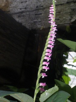 a0089450_044643.jpg