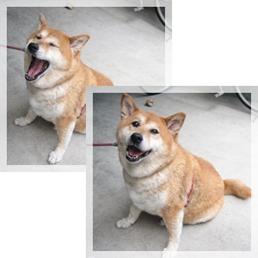 後半突入_c0049950_2075755.jpg