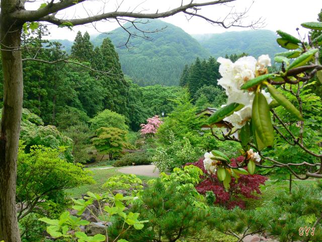 夏の『松前公園』風景　②_f0166871_1302713.jpg