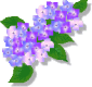 d0171087_16285160.gif