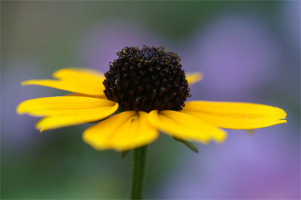 e0189298_2273531.jpg