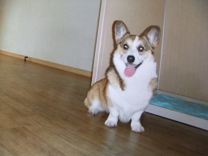 お留守番さんの様子は?_f0101201_10531353.jpg