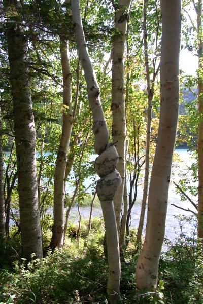 e0083204_125657.jpg
