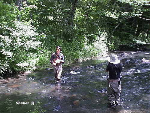 f0021008_1175117.jpg