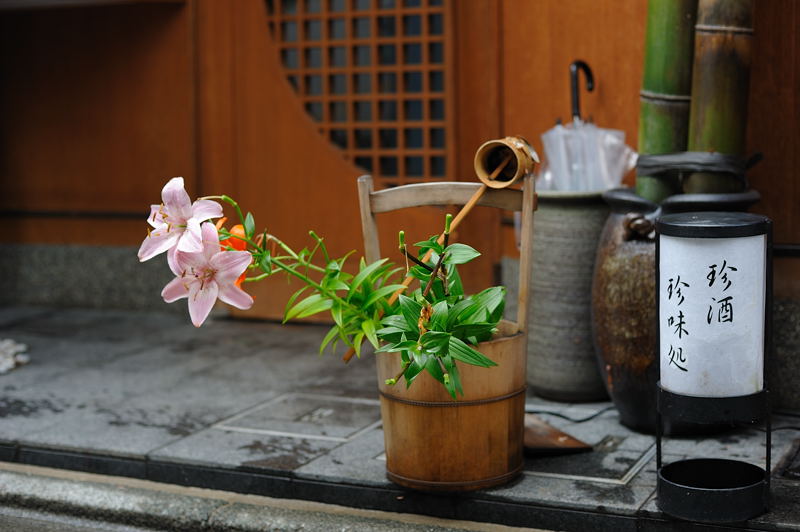 梅雨の止み間に咲く花＠宮川町　其の二_f0032011_19224299.jpg