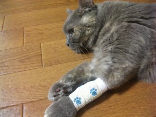 c0032212_23343055.jpg