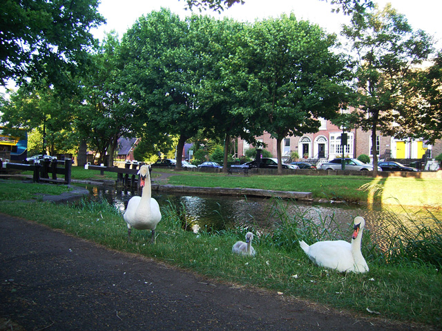 アイルランド写真：　ダブリン：　Warrington Place (Grand Canal)_a0030714_537970.jpg