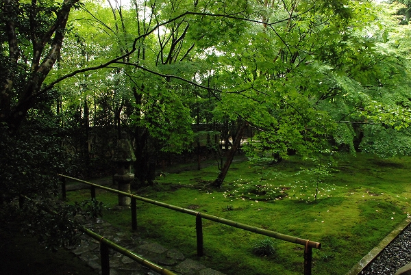 a0114714_200266.jpg
