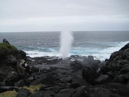 f0135018_8405544.jpg