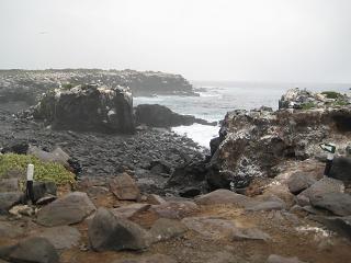 f0135018_8434521.jpg
